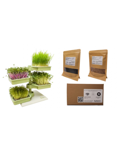 Babylon Garden hydroponic system for homes, 4 weekly harvests of sprouts or microgreens, smart app + GIFT