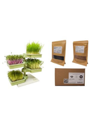 Babylon Garden hydroponisk system til hjemmet, 4 afgrøder, smart applikation + GAVE