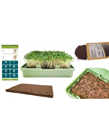 Babylon Garden hydroponic system for homes XS size, 1 weekly harvest of sprouts or microgreens, smart app + GIFT