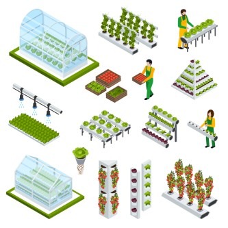 What are the differences between hydroponic / aquaponic and soil-grown crops ?