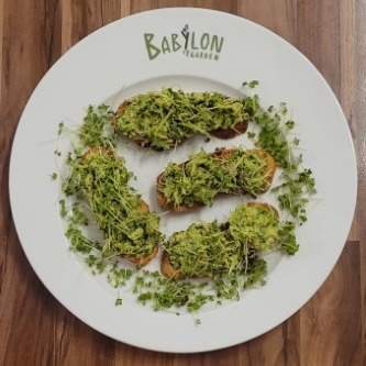 Bruschetta with avocado and microgreens