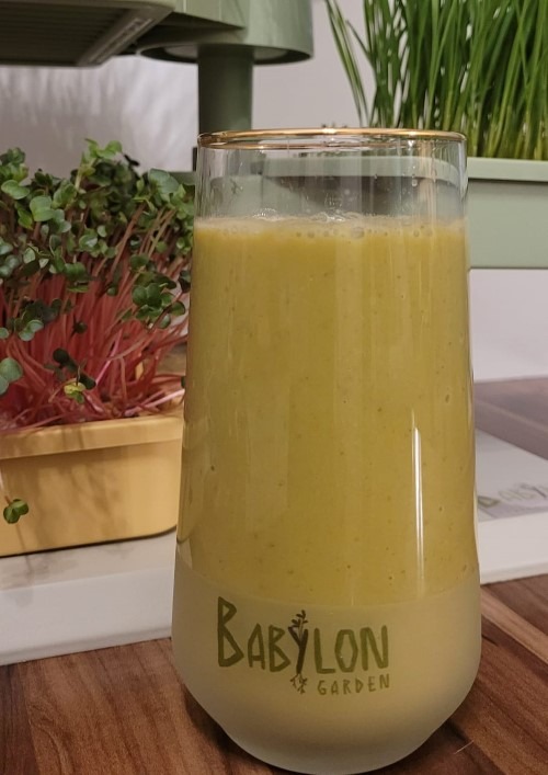 Smoothie cu iarbă de grâu si curmale