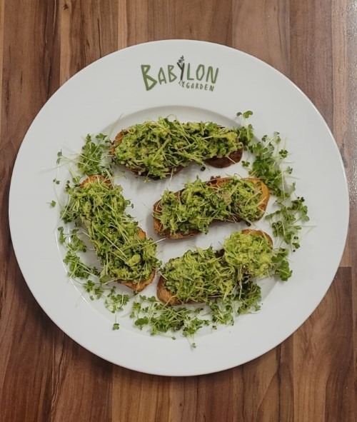 Bruschetta à l'avocat et aux micropousses