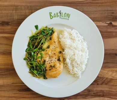 Pollo con salsa de naranja o limón y microgreens de rábano