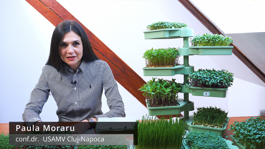 What is the contribution of the University of Agricultural Sciences  from Cluj-Napoca to the Babylon Garden hydroponic system?